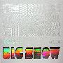 BigBang(빅뱅) -《Big Show 2009 Bigbang Live Concert Live》专辑[MP3]
