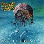 Malevolent Creation -《Stillborn》[MP3]