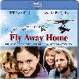 《返家十万里》(Fly Away Home)思路(国英双语版)[720P]