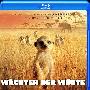 《猫鼬：蒙哥》(The Meerkats)[BDRip]