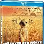 《蒙哥》(The Meerkats)[720P]