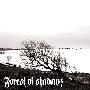 Forest Of Shadows -《Six Waves Of Woe》[MP3]