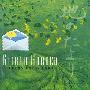 Ginkgo Garden(银杏之庭) -《地球信札》(Letters From Earth)[FLAC]