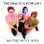 Smashing Pumpkins -《Rarities and B-Sides》(B面与罕见)[MP3]