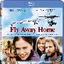 《伴你高飞》(Fly Away Home)[BDRip]