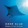 《深蓝》(Deep Blue)思路[1080P]