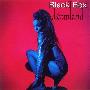 Black Box -《Dreamland & Bonus》[MP3]