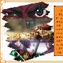《苍天航路》(Sotenkolo)[09年4月新番][猪猪字幕组][更新11话][RMVB]