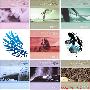 Various Artists -《水疗之声系列》(Sounds of Spa)7CD 更新至完毕[MP3]