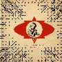 Afro Celt Sound System -《Volume 5: Anatomic》[APE]