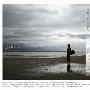许巍 -《今天 - 许巍2002-2008生活作品集》[MP3]