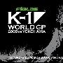《2009年K-1世界格斗锦标赛》(K1 World Grand Prix 2009 Yokohama)更新到16强[HDTV]