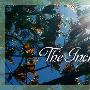 《PBS NOVA 蝴蝶的神奇之旅》(PBS Nova The Incredible Journey of the Butterflies )720P[HDTV]