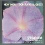 Don Randi & Quest (唐.蓝迪与昆斯特) -《新生儿》(New Baby)[APE]