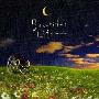沟口肇 -《美丽人生》(Beautiful Life)[FLAC]