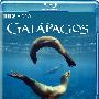 《BBC 加拉帕戈斯群岛》(BBC.Galapagos)X264 720P 已添加中英字幕[HD DVDRip]