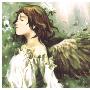 《灰羽連盟》(Haibane Renmei) [个人作品][MKV收藏版][13话全+SP][DVDRip]
