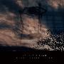 Dahlia's Tear -《Under Seven Skies》[MP3]