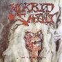 Morbid Saint -《Spectrum Of Death》[MP3]