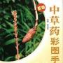 《中草药彩图手册 二》第一版[PDF]
