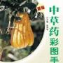 《中草药彩图手册 一》第一版[PDF]