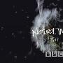 《BBC 自然世界系列》(BBC Natural World)[中文字幕][更新：BBC.自然世界.白鹰白狼][RMVB]