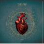 The Veils -《Sun Gangs 》[MP3]