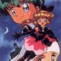 《怪盗圣少女》(Kaitou Saint Tail)[外挂中文字幕][kshuzhiwang制作][01-16][MKV] [DVDRip]