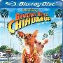 《比佛利拜金狗》(Beverly Hills Chihuahua)CHD联盟(国英双语)[1080P]
