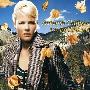 Various Artists -《Autumn ChillOut I'll Be Around》[MP3]