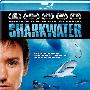 《鲨鱼海洋》(Sharkwater)[BDRip]