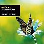 DJ Tiesto -《Magik 4 - A New Adventure》[APE]