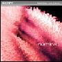 《Sony 音效系列：乐曲与音效样本集》(Sony MediaSoftware Numina II WAV ACiD)[光盘镜像]