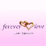 群星 -《Forever Love - 34首动人国语精选情歌》香港版 (2CD)[MP3]