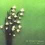 全秀妍 -《Sentimental Green》(Sentimental Green)320K[MP3]