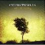Chris Tomlin -《See The Morning》[MP3]