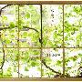 JULEPS -《旅立つ日》专辑[MP3]