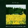 The Zephyrs -《Bright Yellow Flowers On A Dark Double Bed》[MP3]