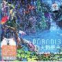 Various Artist -《天籁美声》(Paradise Music)320K[MP3]