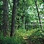 DAISHI DANCE -《the P.I.A.N.O.set》专辑[MP3]