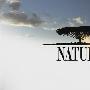 《PBS 自然系列》(PBS Nature)[中文字幕][更新：PBS.自然.25周年精选][RMVB]