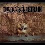 The Acacia Strain -《The Dead Walk》[MP3]