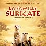 《蒙哥》(The Meerkats)[DVDRip]