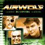 《飞狼 第一季》(Airwolf Season 1)第一季全[DVDRip]