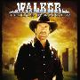 《德州巡警 第二季》(Walker, Texas Ranger Season 2)[DVDRip]