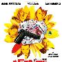 《家庭事务》(Family Affair)[DVDRip]