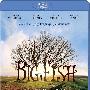 《大鱼》(Big Fish)CHD联盟[1080P]
