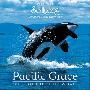 Dan Gibson -《优雅太平洋之虎鲸精灵》(Pacific Grace: Spirit of the Killer Whale)[MP3]