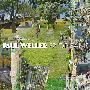 Paul Weller -《22 Dreams》[MP3]