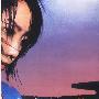 《午夜向日葵》(Sunflower in the Midnight)姜萍演播/85集[MP3]
